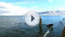 Pyramid Lake Fly Fishing Adventure 2