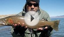 Pyramid Lake Fly Fishing Adventure