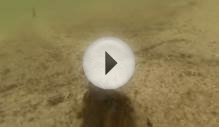 Pyramid lake fly fishing BULLDOZER pattern