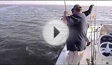 Redfish fishing charter in Venice, Louisiana