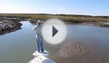 redfish on the fly 11.12.11 Charleston SC Fish Call Charters