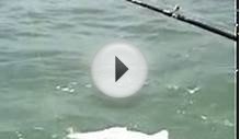Reel Men Fishing Charters, BIG Redfish, Fishing Galveston