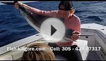Sailfish sport fishing Islamorada Fishing Charters Florida