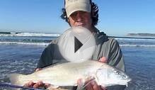Surf Fly Fishing - San Diego - So Cal Fly Fishing