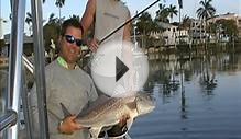 Tampa Inshore Flats Fishing Charters