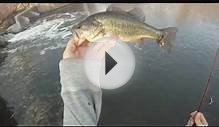 The GEO Report: March 20, 2012 Chicago River Seven Bass