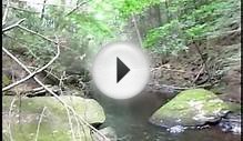 Trout fishing with worms in New England. Part 2.