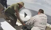 Tuna Fishing - Bass River Charters