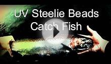 UV Steelie Beads Catch Fish! Oswego River Rainbow Trout