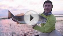 Video: Killer Redfish Action in "Floodway" - Orvis News