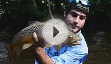 Video: The Perfect Drift Fish Reel 2013 - Orvis News