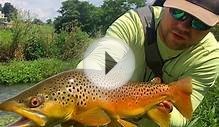 Virginia Fly Fishing Report 8/4/2016 | Mossy Creek Fly Fishing