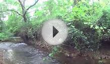 W4F - Fly Fishing "Tips for Wild Trout in Small Streams"