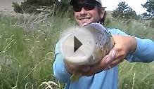 Wyoming Fly Fishing Grey Reef Anglers Miracle Mile