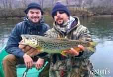 Arkansas Trophy Trout - Gaston's White River Resort