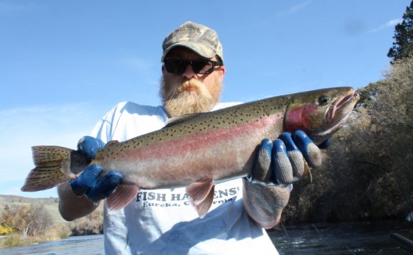 Klamath River Fishing Reports