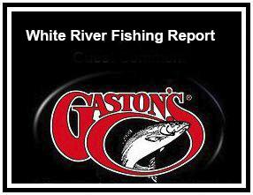 Gaston's White River Resort Fishing Report