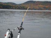 VT fishing license